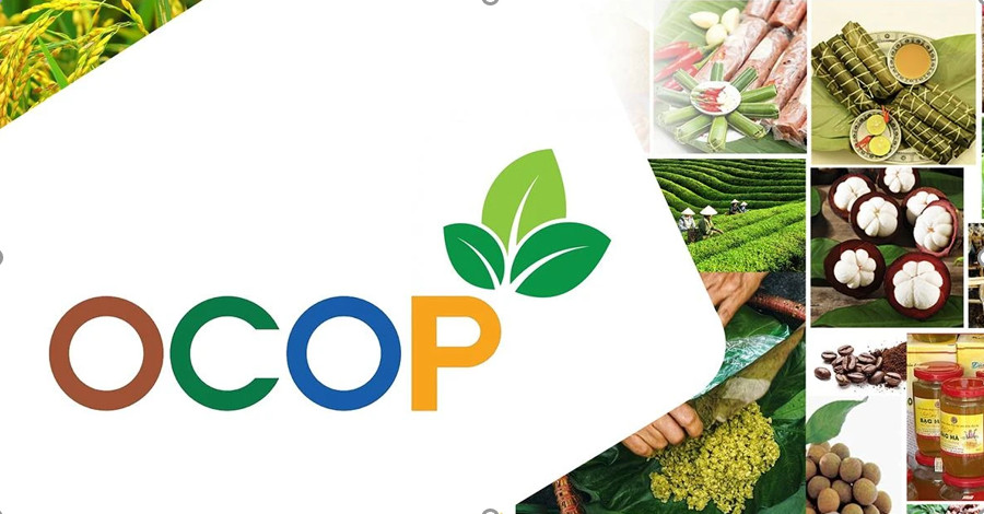 Kế hoạch về việc thực hiện Chương trình mỗi xã một sản phẩm (OCOP) năm 2024 trên địa bàn tỉnh Đắk Lắk.